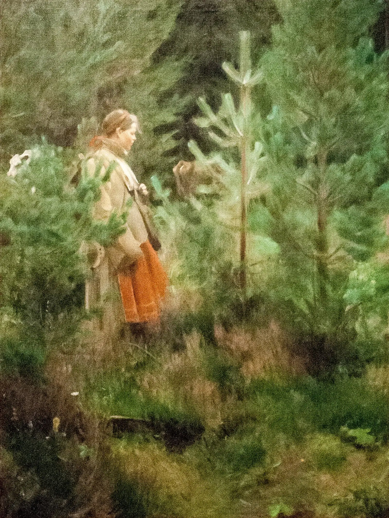 Bergiera - Anders Zorn