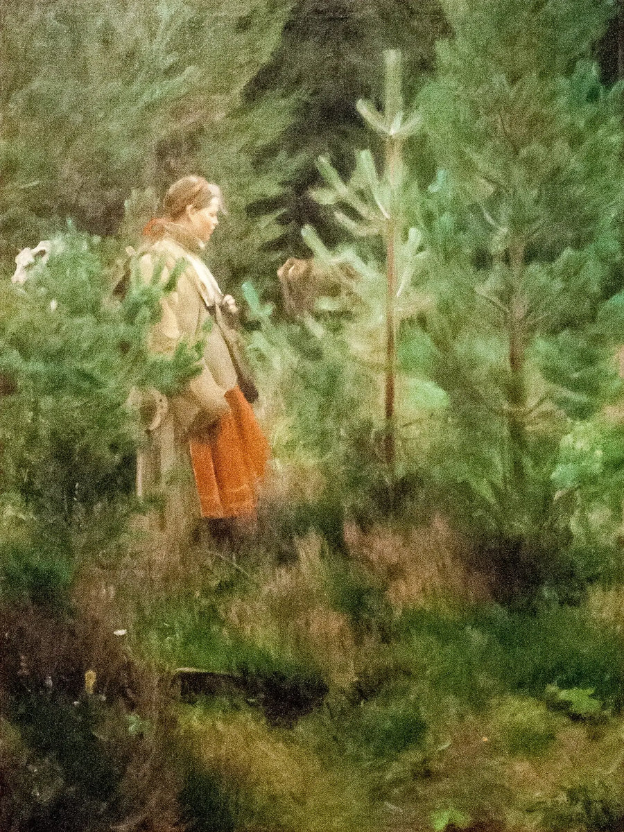 Bergiera - Anders Zorn