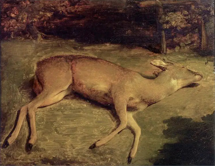 Martwa sarenka - Gustave Courbet