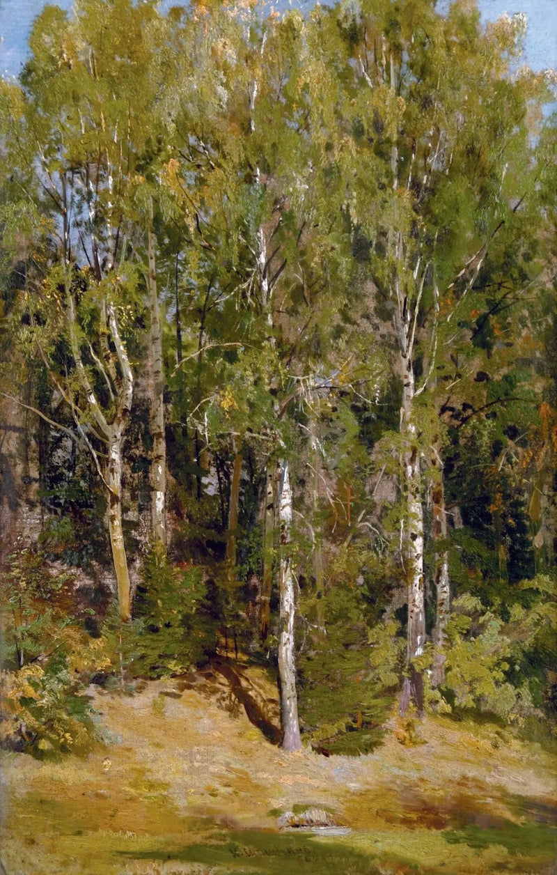 Brzozowy Gaj - Iwan Czichkin