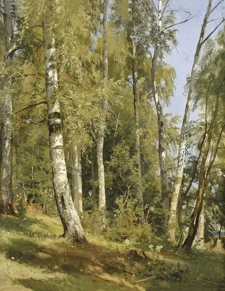 Birch Grove - Ivan Chichkine - Alpha Reproduction
