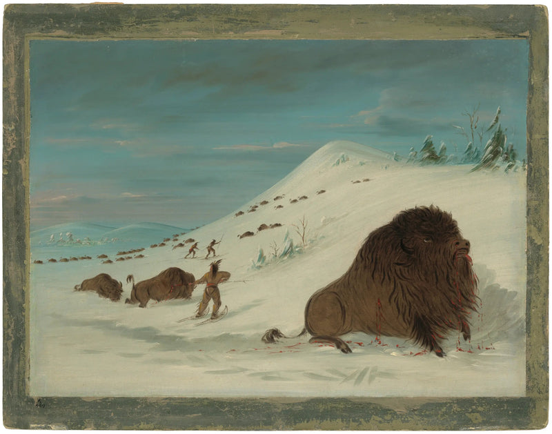 Bizon wchodzący w zaspy śnieżne - Sioux - George Catlin