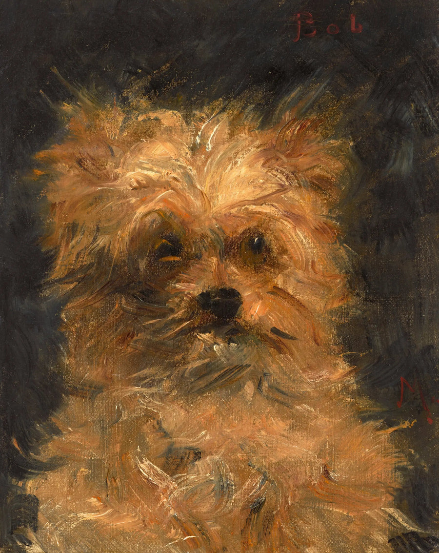 Bob, pies griffon - Édouard Manet