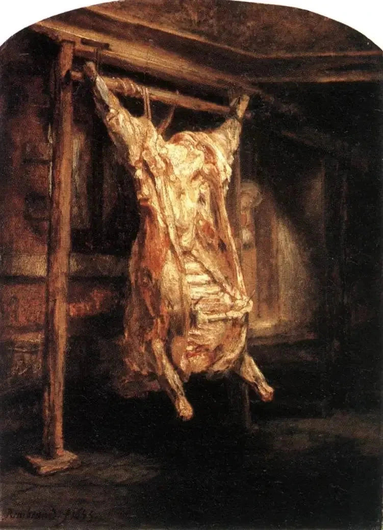 Odkryty Woł - Rembrandt