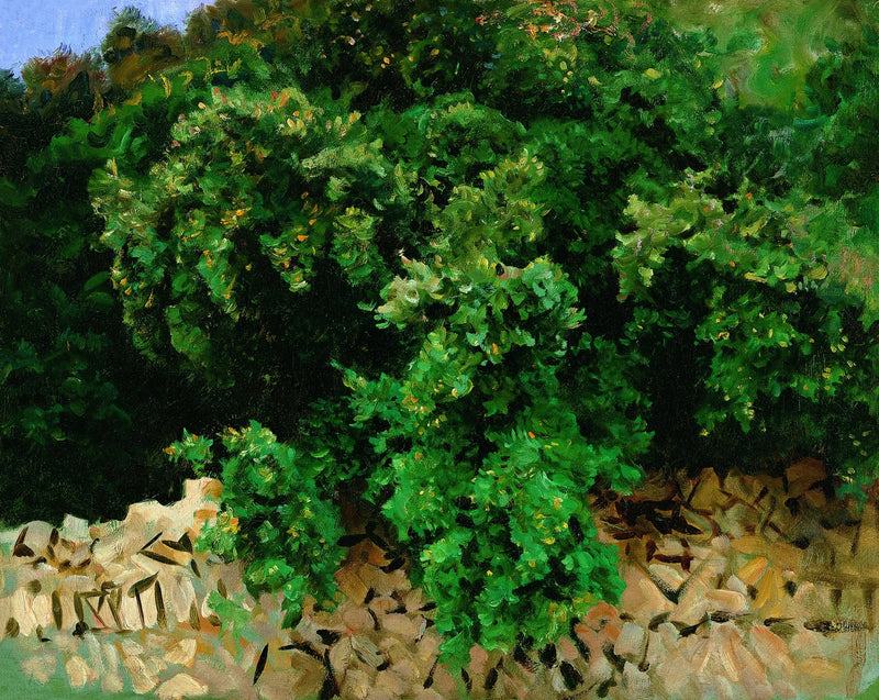 Ilex. Majorka - John Singer Sargent