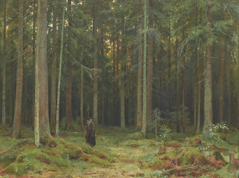 Drewno hrabiny Mordvinovej. Peterhof - Iwan Czichkin