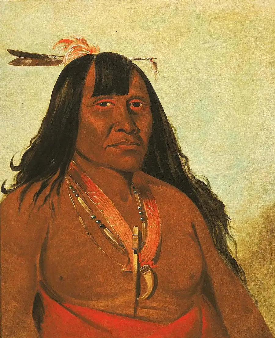 Bón-són-gee, Nowy Ogień, przywódca bandy - George Catlin
