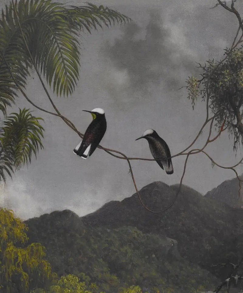 Czapka śniegowa - Martin Johnson Heade