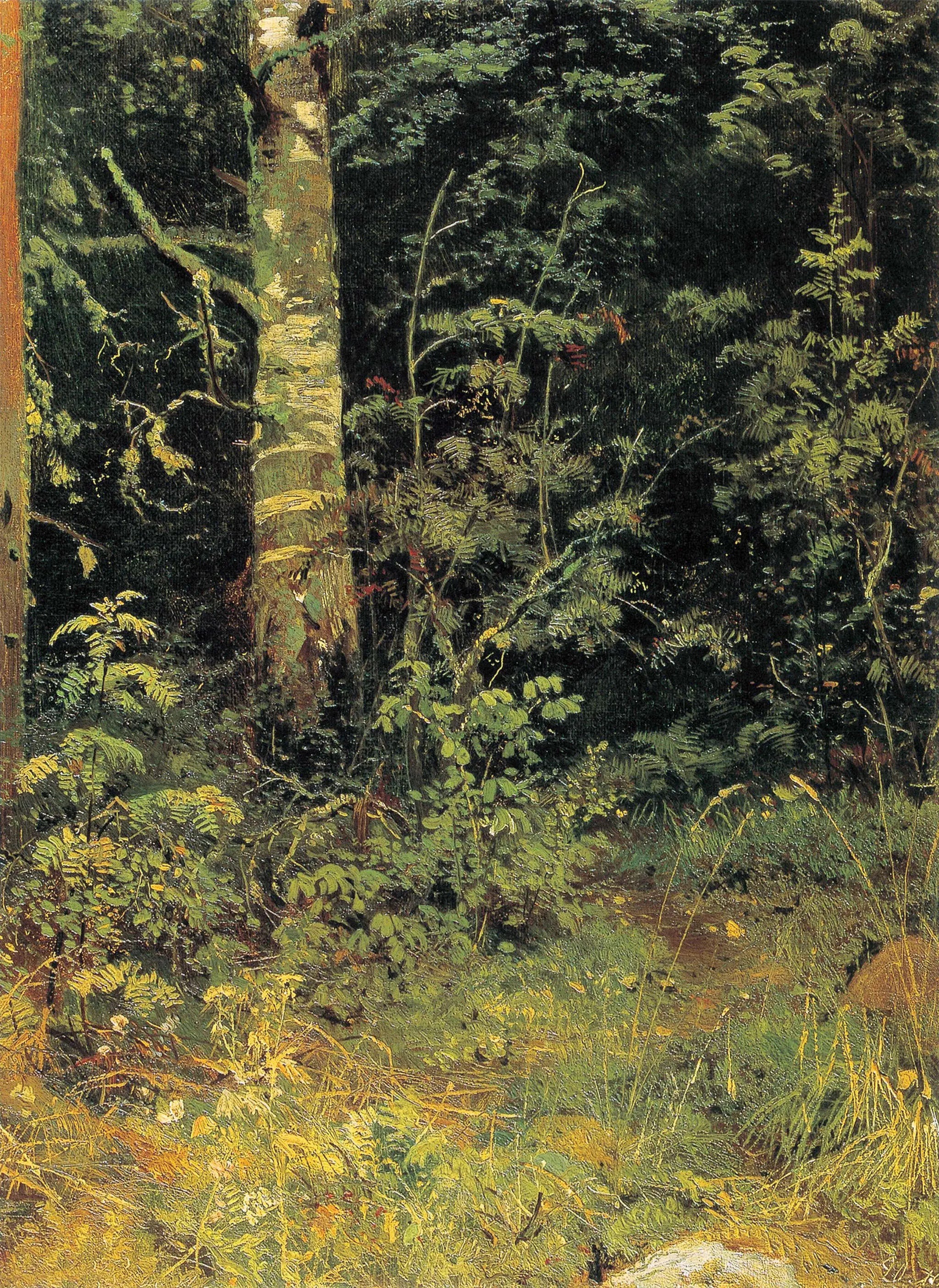Bouleau et sorbier - Ivan Chichkine - Alpha Reproduction