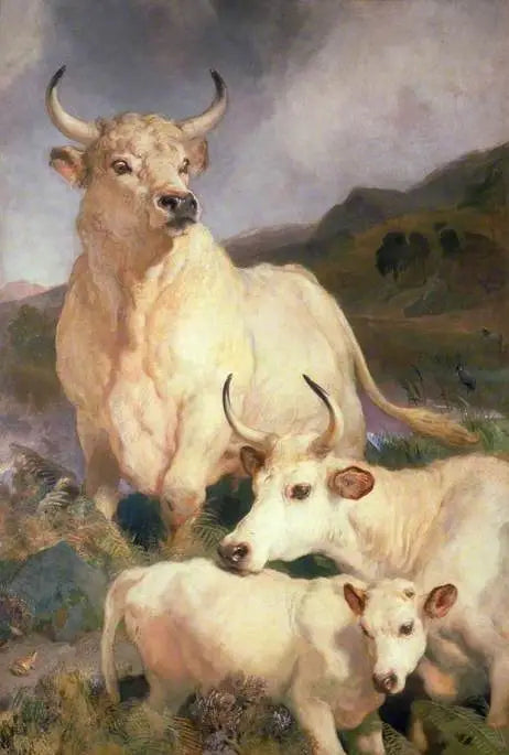Dzicy bydło z Chillingham, Northumberland - Edwin Henry Landseer