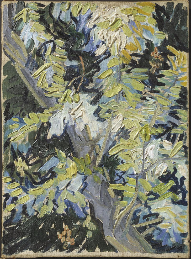 Kwiatowe gałęzie akacji - Vincent van Gogh