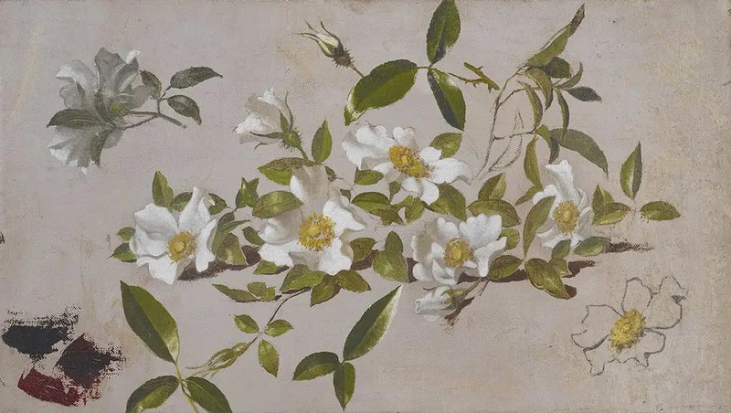 Gałęzie róż Cherokee - Martin Johnson Heade