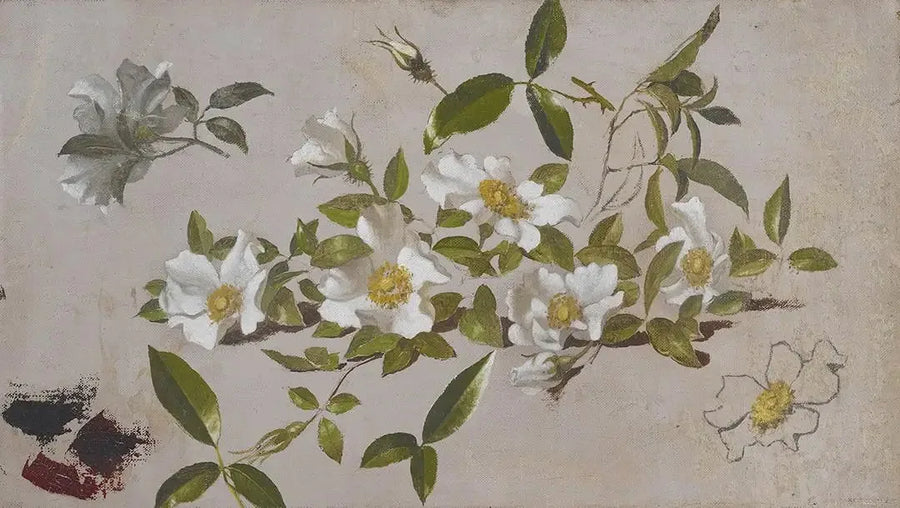 Gałęzie róż Cherokee - Martin Johnson Heade