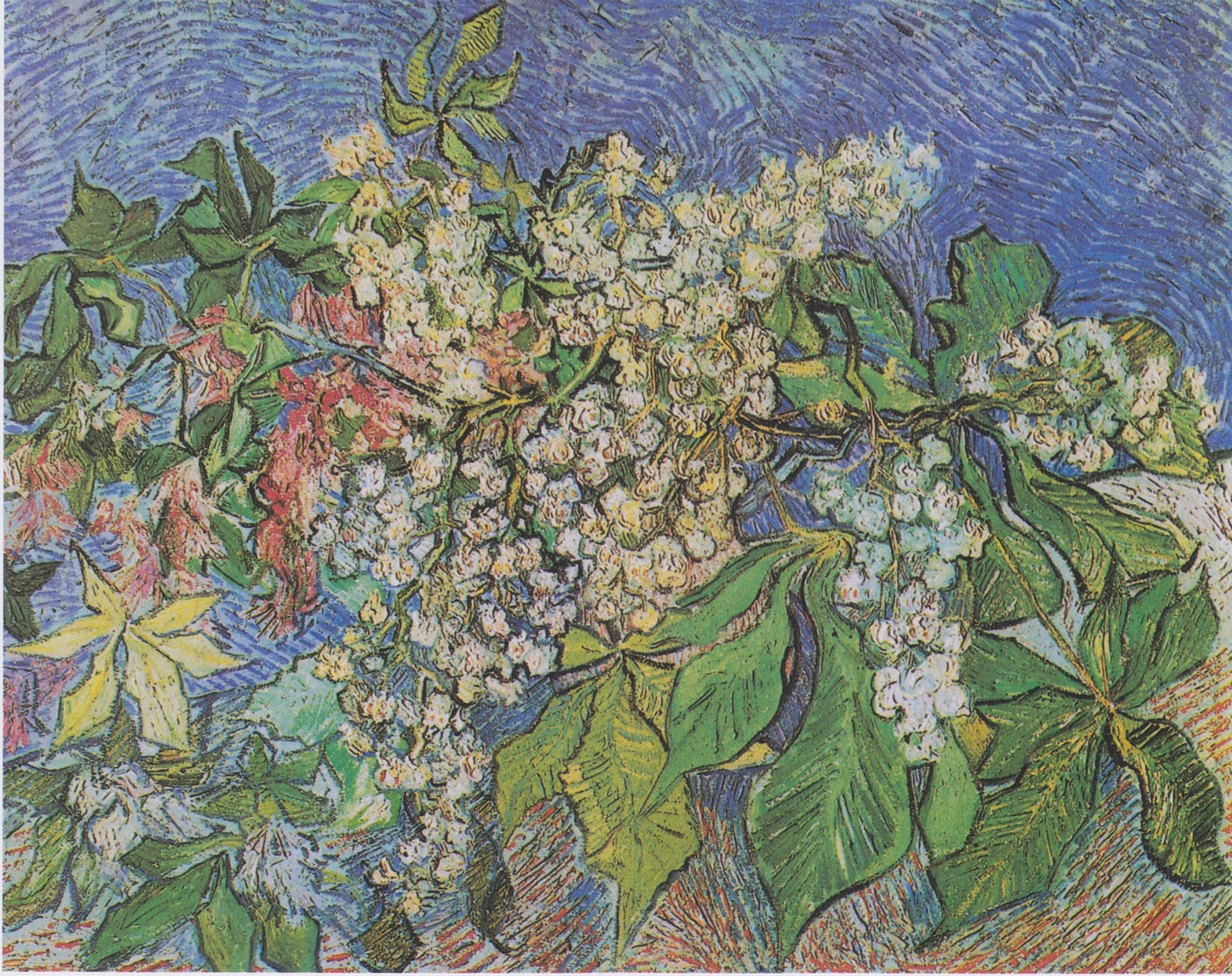 Gałęzie kasztanowca w rozkwicie - Vincent van Gogh