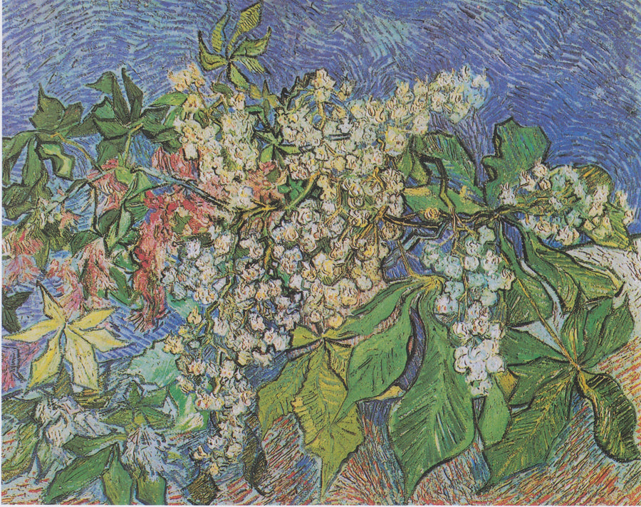 Gałęzie kasztanowca kwitnące - Vincent van Gogh