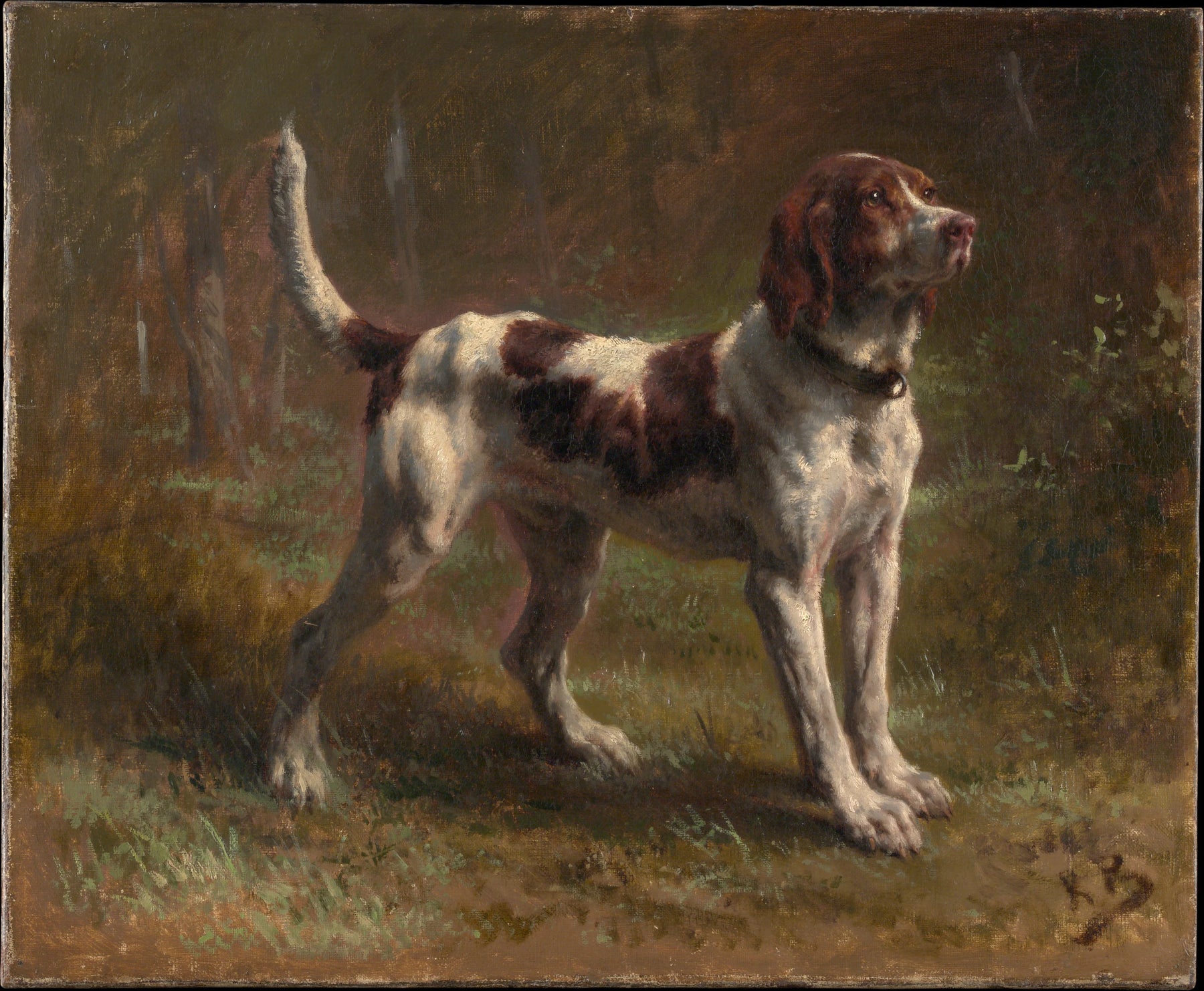 Un Briquet Limier - Rosa Bonheur