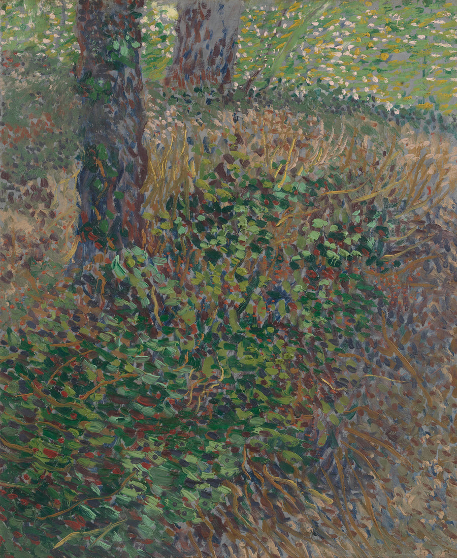 Broussailles - Vincent van Gogh
