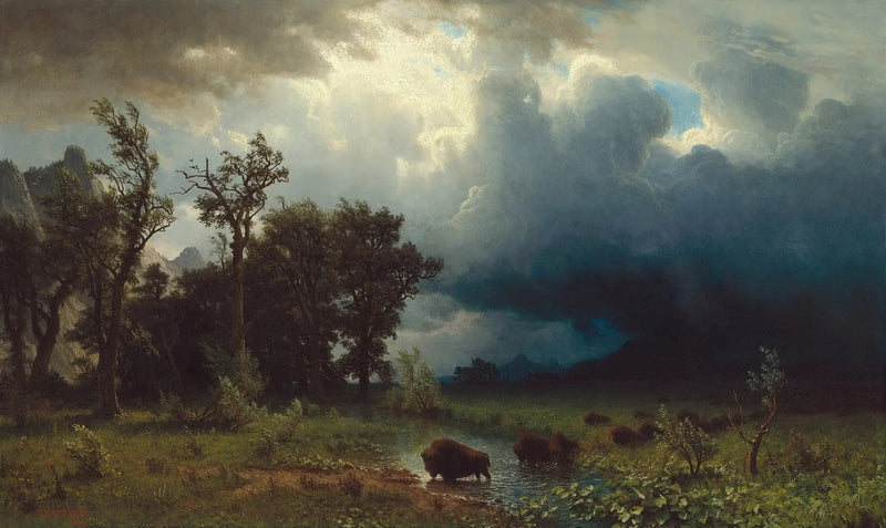Buffalo Trail: nadchodząca burza - Albert Bierstadt