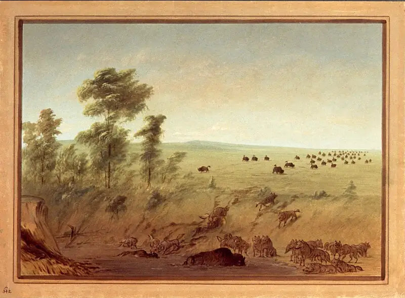 Bawoły i wilki utopione - George Catlin