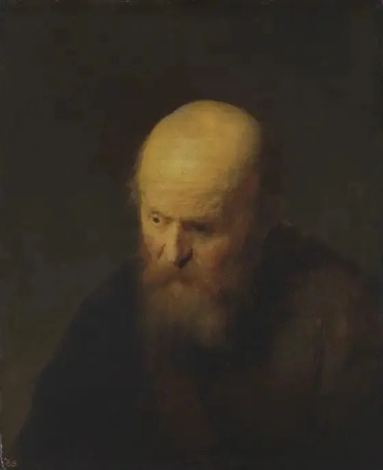Popiersie starego mężczyzny z łysą głową - Rembrandt