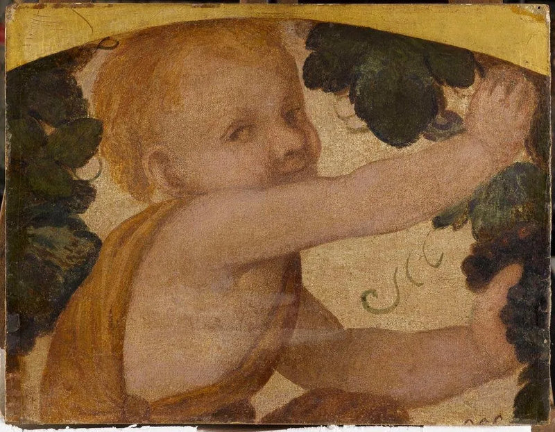 Buste putto wśród pnączy - Bernardino Luini