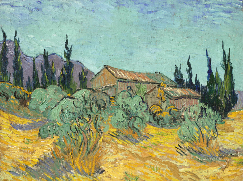 Drewniane chatki wśród oliwek i cyprysów - Vincent van Gogh