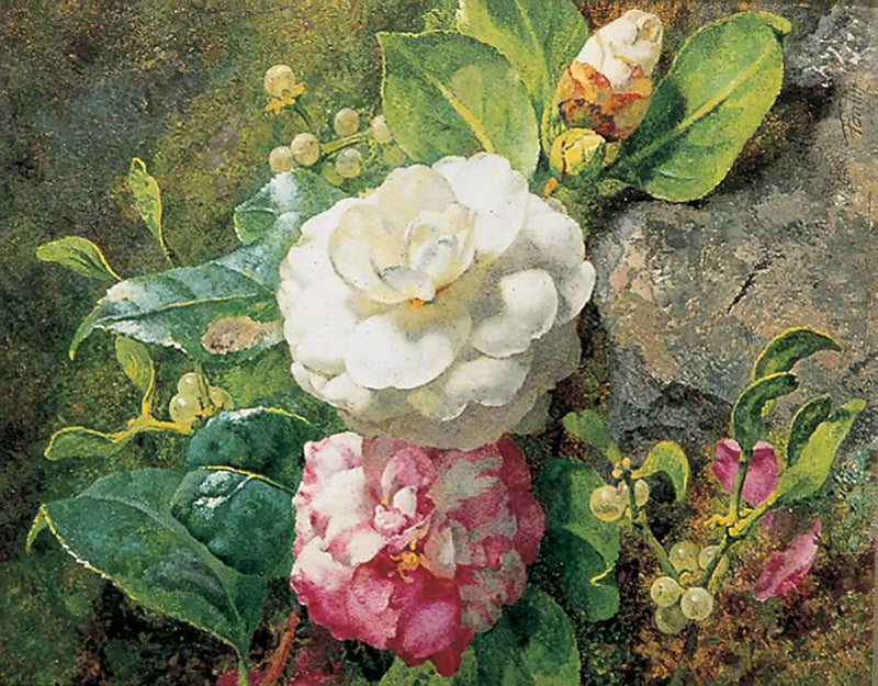 Kamelie - Henri Fantin-Latour