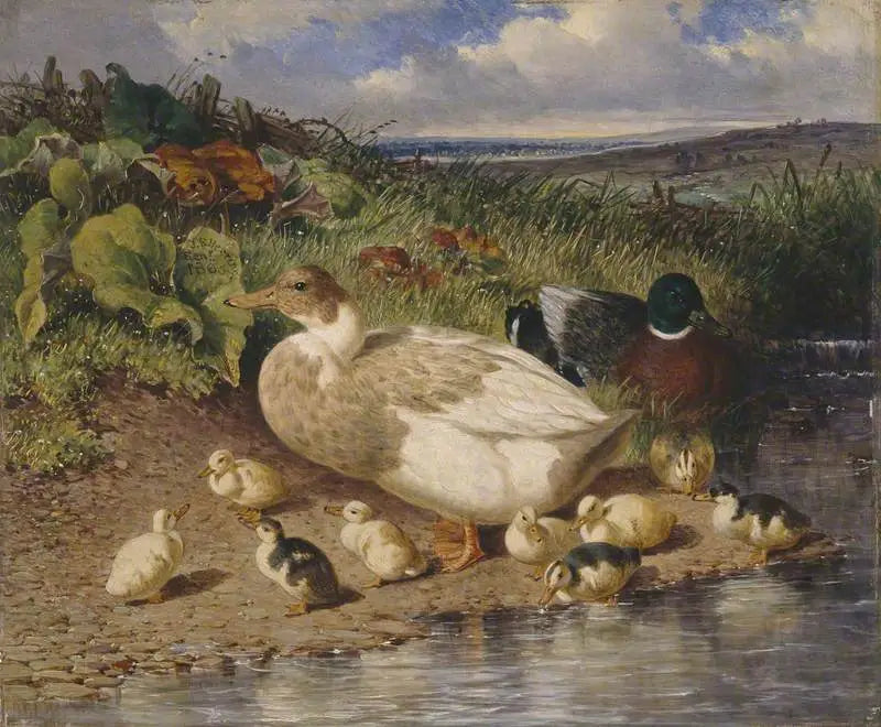 Kaczki nad brzegiem strumienia - John Frederick Herring, Sr.