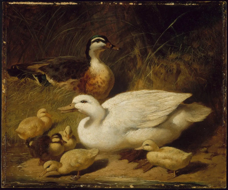 Kaczki i kaczuszki - John Frederick Herring, Sr.