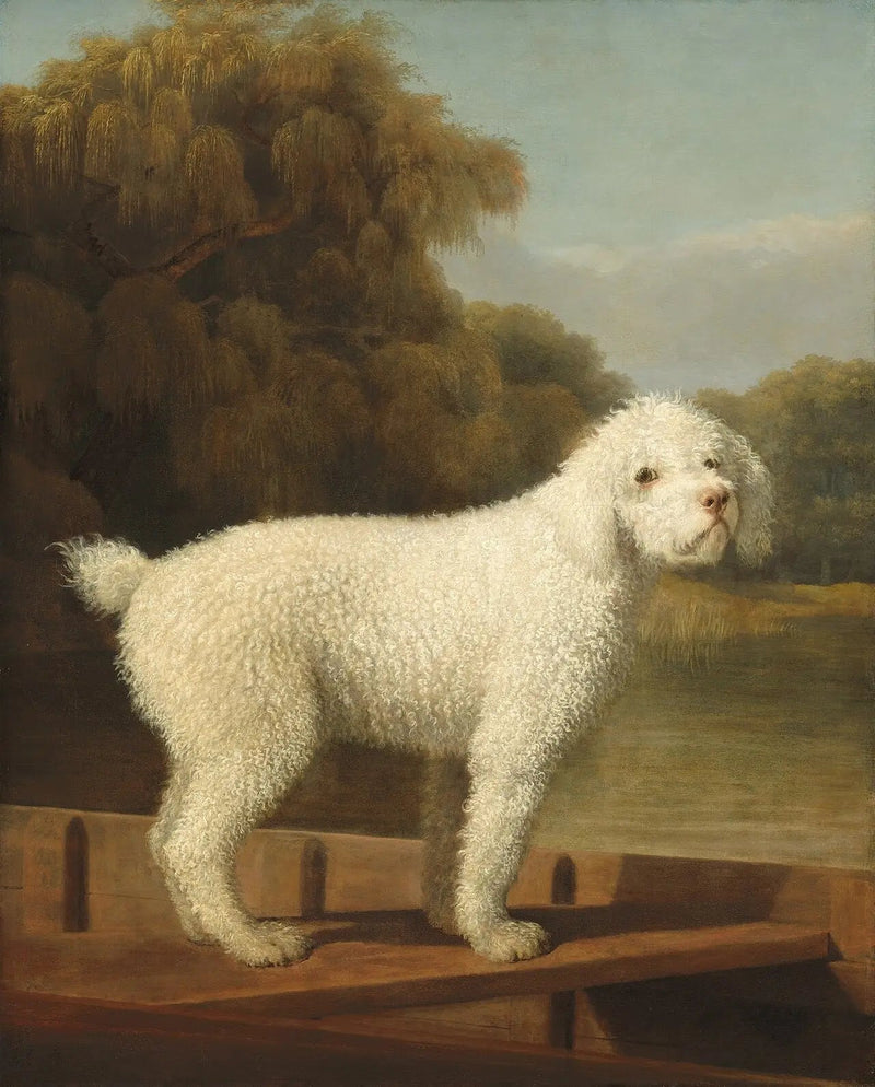 Biały pudel w pontonie - George Stubbs