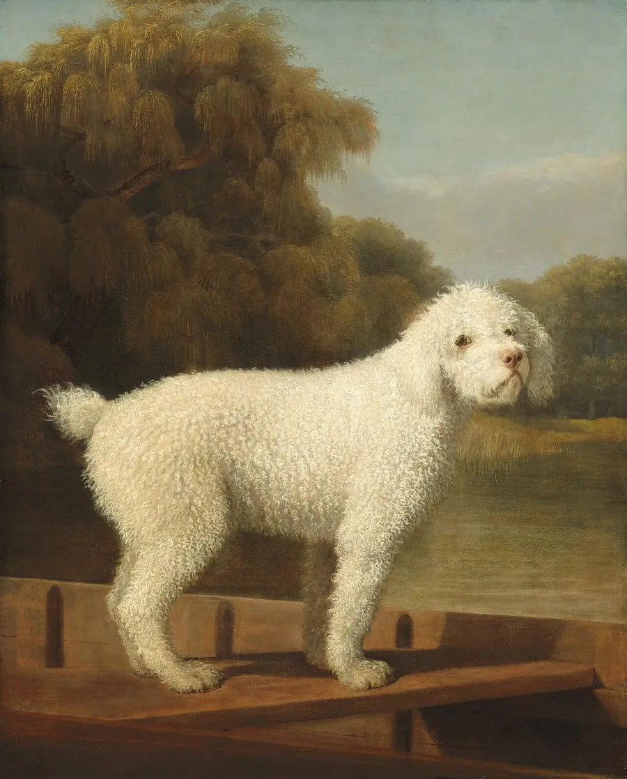 Biały pudel w pontonie - George Stubbs