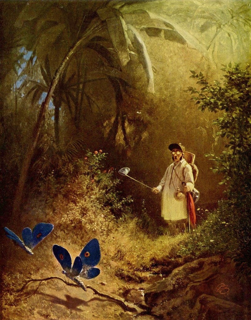 Der Schmetterlingsfänger (Le Chasseur de papillons) - Carl Spitzweg