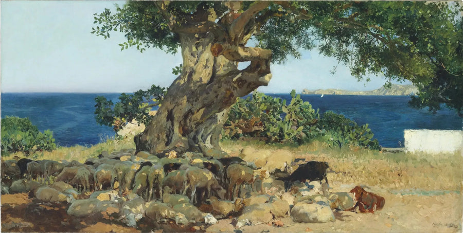 Karob - Joaquín Sorolla