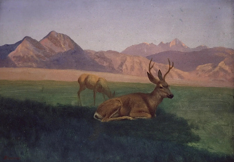 Jeleń - Albert Bierstadt