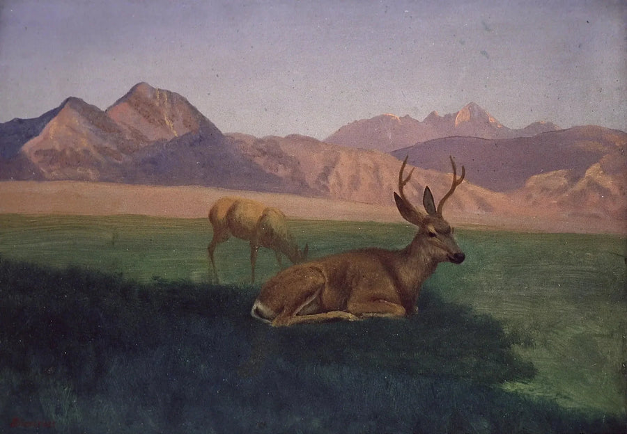 Jeleń - Albert Bierstadt