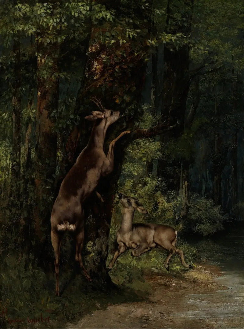 Jeleń w lesie - Gustave Courbet