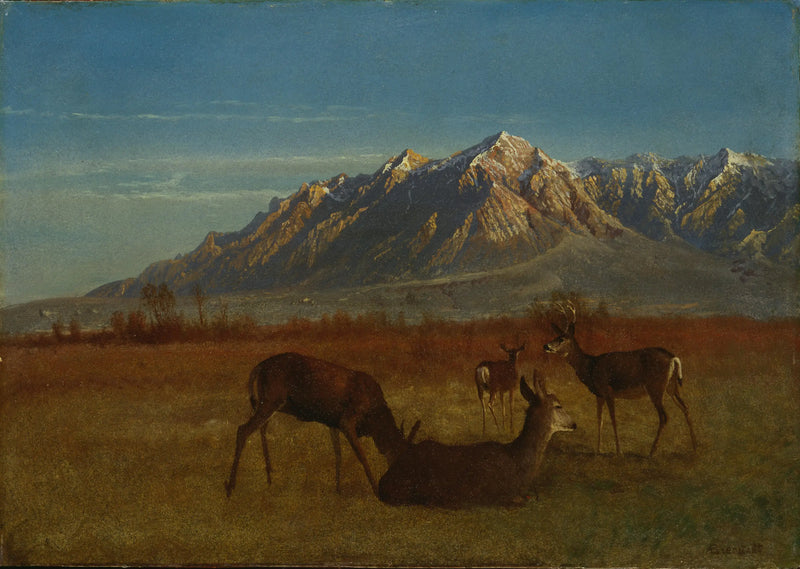 Jeleń w górskim domu - Albert Bierstadt