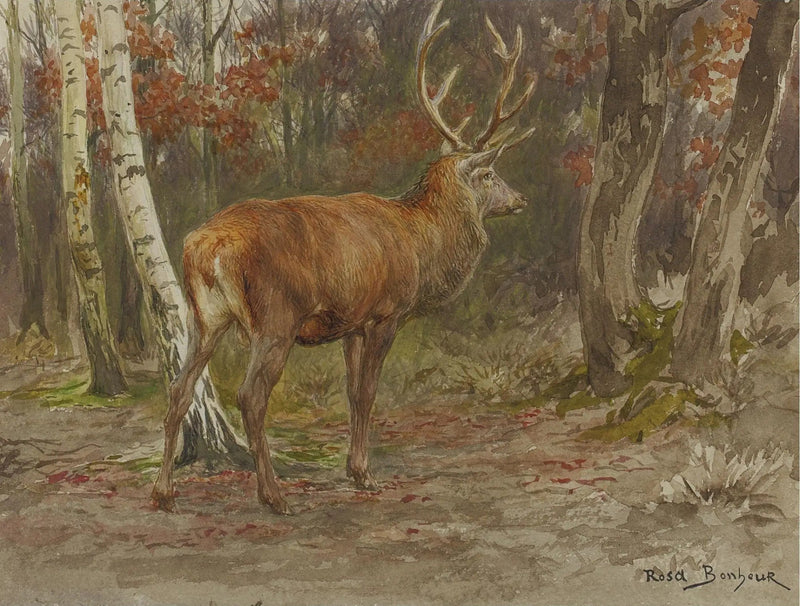 Cietrzew czujny - Rosa Bonheur