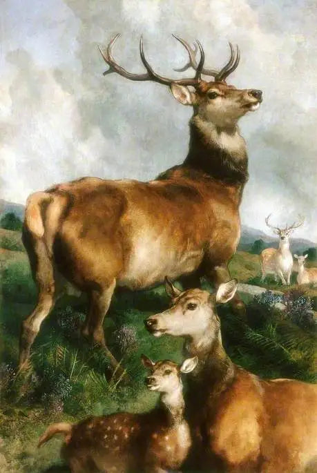 Jelenie z parku Chillingham, Northumberland - Edwin Henry Landseer