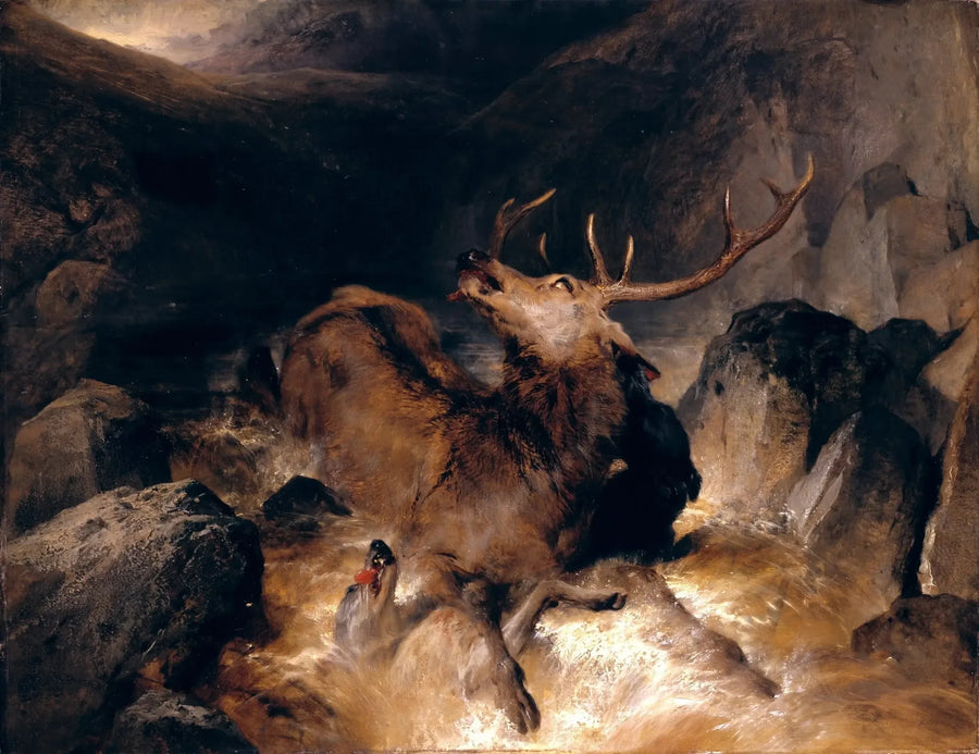 Jelenie i psy myśliwskie w górskim potoku - Edwin Henry Landseer