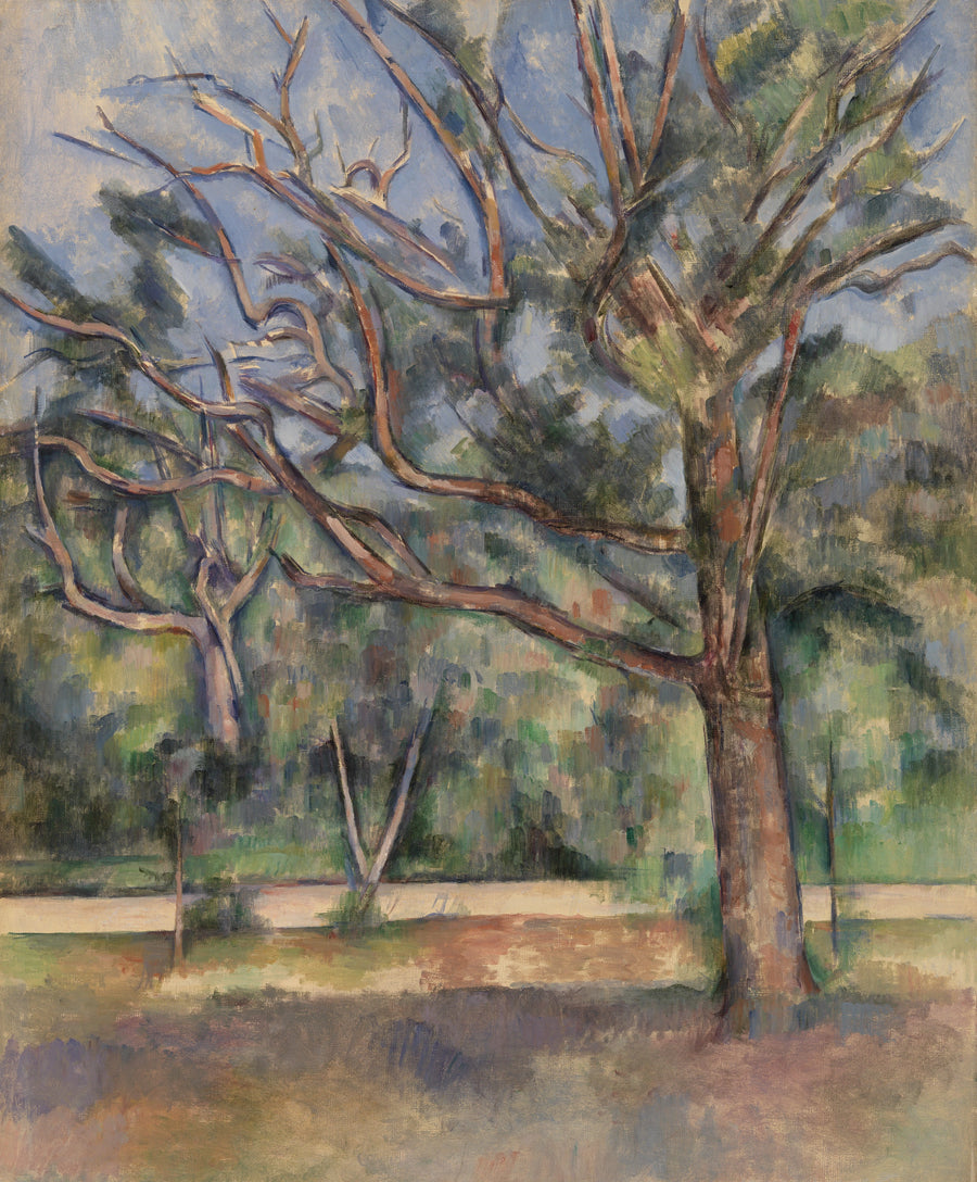 Drzewa i droga - Paul Cézanne