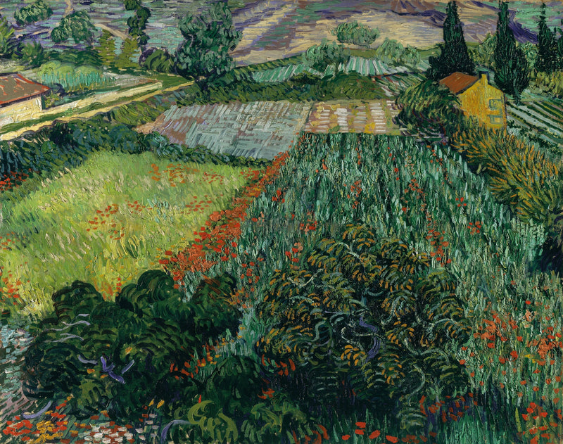 Pole maków - Vincent van Gogh