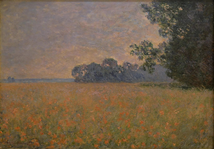 Pole maku owsianego W1258 - Claude Monet