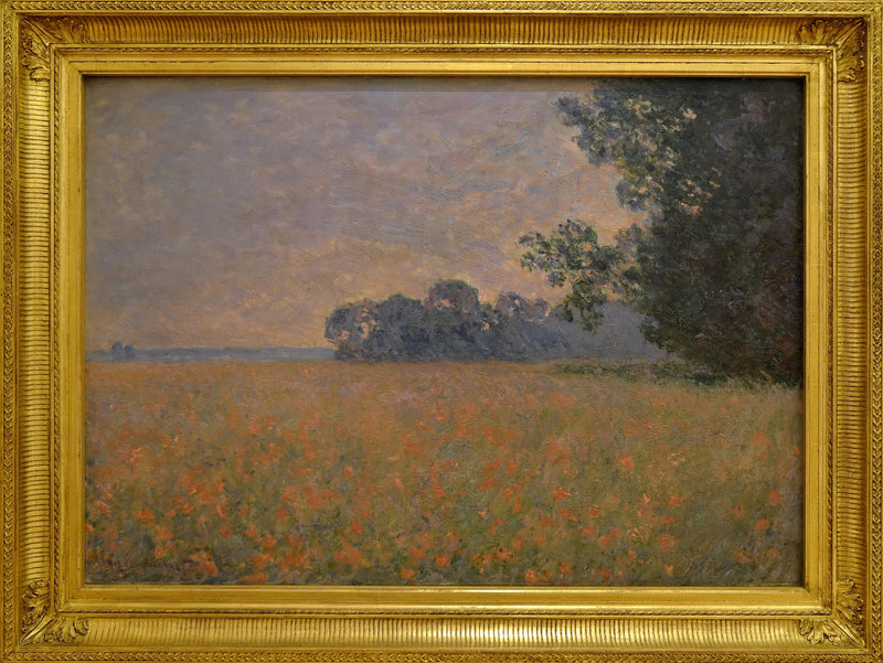 Pole owsa z muszlami - Claude Monet