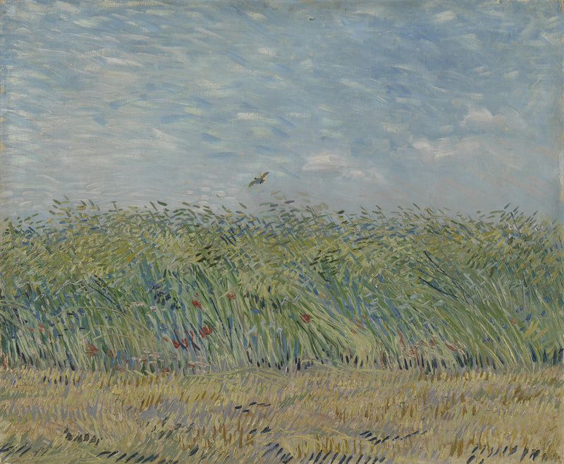 Pole pszenicy z skowronkiem - Vincent van Gogh