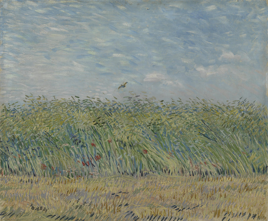 Pole pszenicy z skowronkiem - Vincent van Gogh