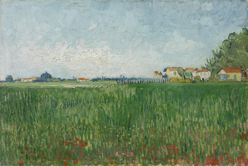 Pole maków - Vincent van Gogh