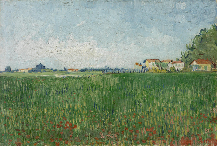 Pole maków - Vincent van Gogh