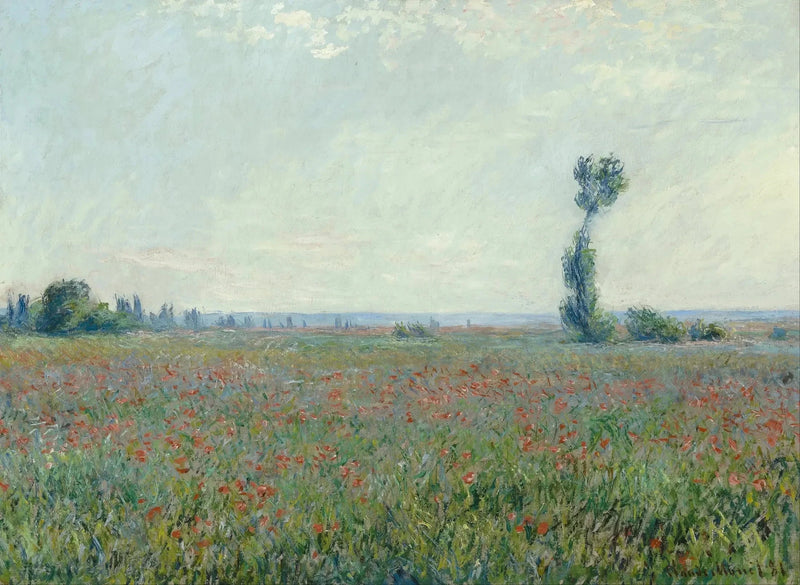Pole makowe W677 - Claude Monet