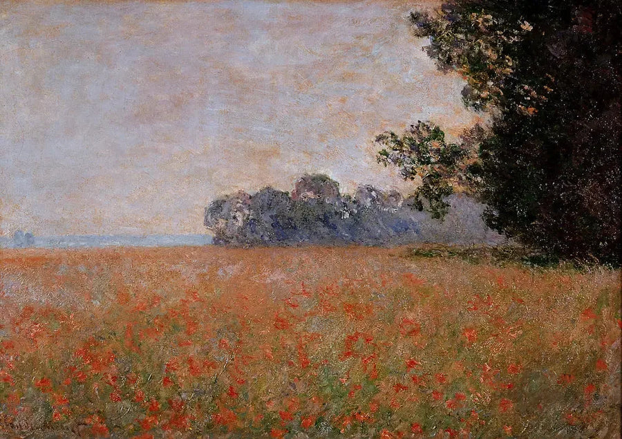 Pole owsa z muszlami - Claude Monet